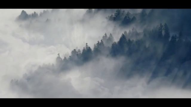 СТРАШНЫЕ ИСТОРИИ - НАШЁЛ Я ДЕРЕВНЮ НЕЖИТИ В ЛЕСУ - СТРАШИЛКИ НА НОЧЬ смотреть онлайн