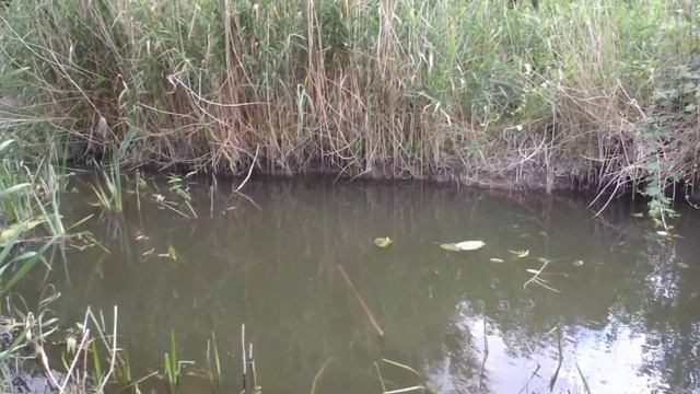 Дедушка ловит рыбу экраном смотреть онлайн
