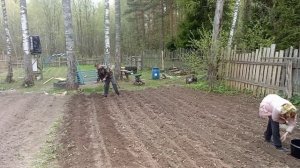 Посадка картошки при помощи тяпки