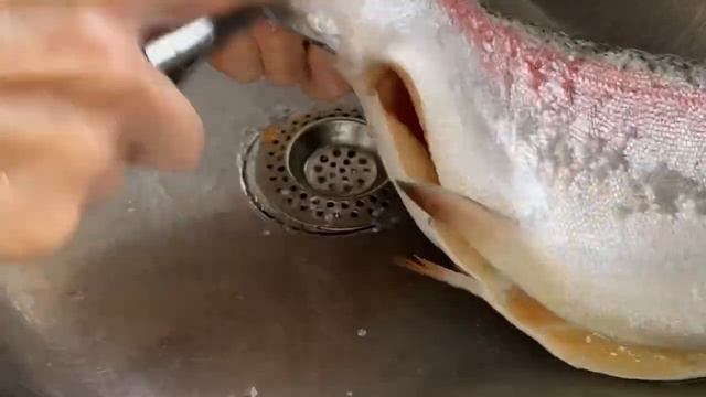 Рыбный суп в стиле «Буйабес»