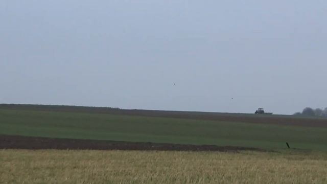 Коп Монет. Ещё в ладошке место есть. Вот такие находки. смотреть онлайн