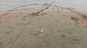 Самый быстрый способ ловли живца на паук подъёмник. Конструкция правильной снасти!