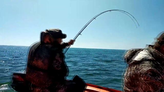 Морская рыбалка. Огромный бычок чуть не утащил удочку! смотреть онлайн