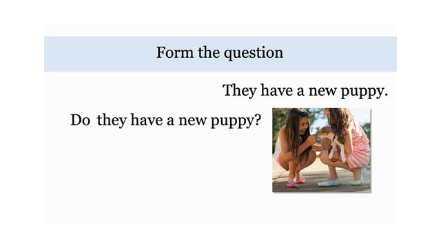 Simple Present Yes/No Questions смотреть онлайн