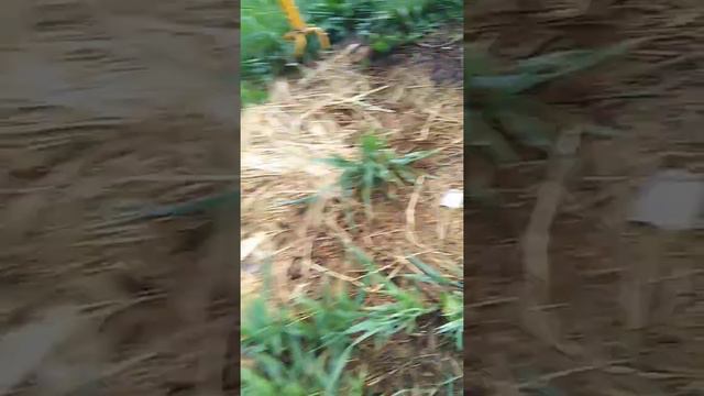 Я не знаю куда я попал смотреть онлайн