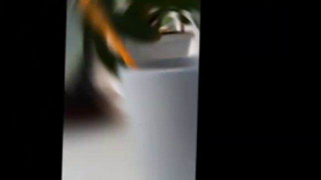 сорян что звук другой смотреть онлайн
