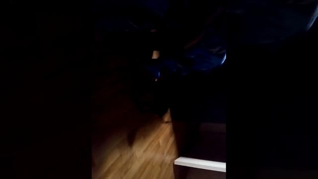 Моя собака пытается ночью забраться на стул. РЖАКА!!!!!!!!! смотреть онлайн