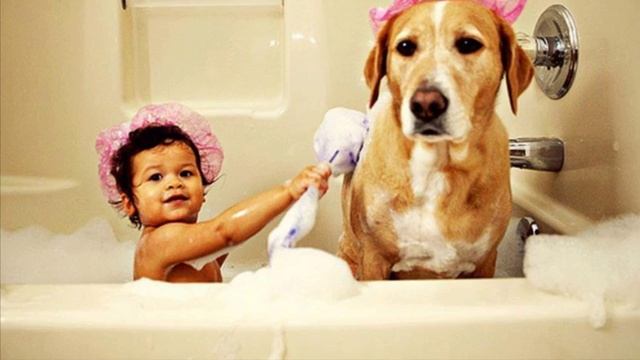 Влияние животных на развитие ребенка смотреть онлайн