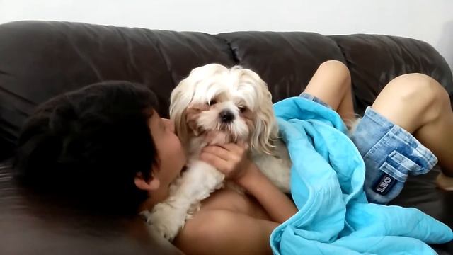 Умный пес смотреть онлайн