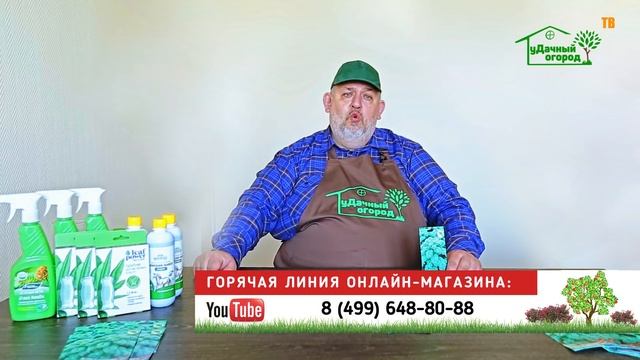 Листовая капуста кале, кейл. Обзор сорта Кадет. смотреть онлайн