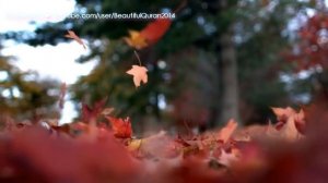 Расслабляющая чтения Корана Помощь от Стресса, Красивая природа, Успокаивающий