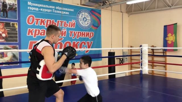 Тренировка на лапах смотреть онлайн