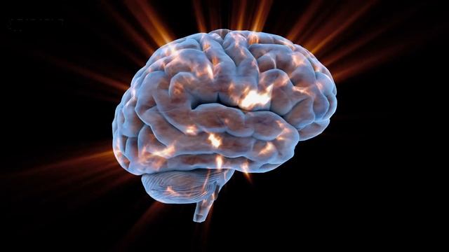 Почему нельзя брать с собой телефон в кровать? Чем опасен мобильный телефон смотреть онлайн