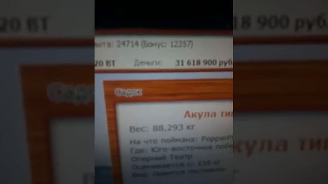 Русская рыбалка 3.99 Юго-Восточное побережье поймал тигровую акулу смотреть онлайн
