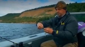 Ловля сома на Волге