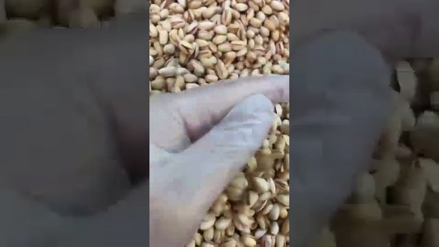 Супер сорт фисташки Ахмад Агаи Иран на фуд сити по 800₽ кг +79284244490 смотреть онлайн