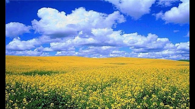 初音ミクと 「おもかげを……」 - 尾崎翠／芥川也寸志 смотреть онлайн