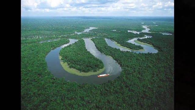 Rainforest Efect On Amazon