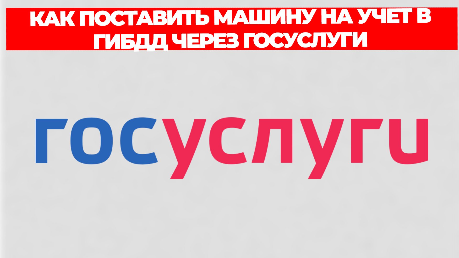 Всезнающий Енот