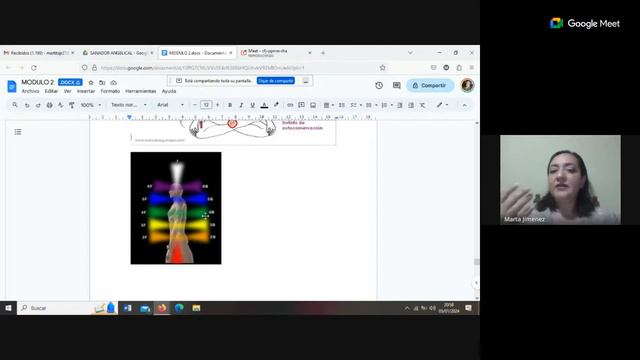 cfj-ppmn-rha CLASE 2 MODULO 2 SANADOR ANGELICAL смотреть онлайн