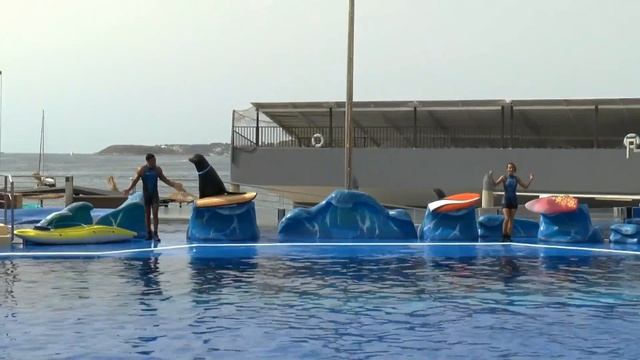 Sea Lions show in Marineland Mallorca 2014 смотреть онлайн