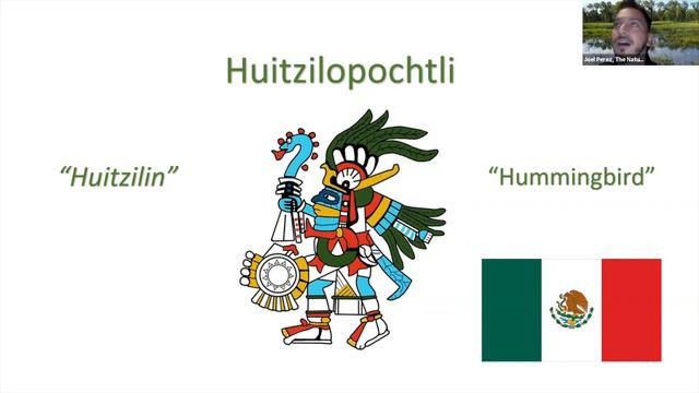 Pollinator Week Virtual Program Series- Day Four: Pollinator Art And Culture