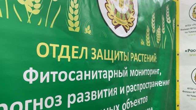 Межрегиональная выставка картофеля в Чувашии смотреть онлайн