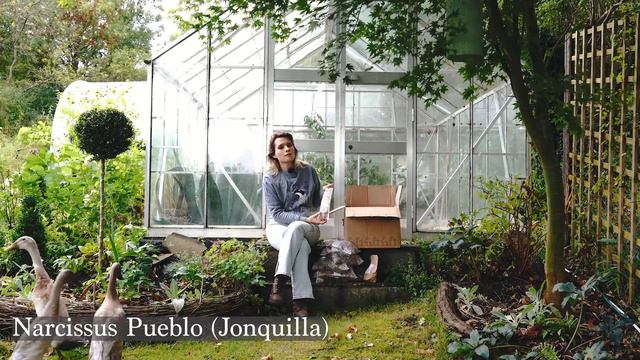 Adding 1000s of Bulbs to my Cottage Garden - Bulb Unboxing & Spring Flower Plans смотреть онлайн