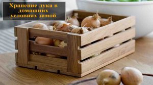 Как хранить лук