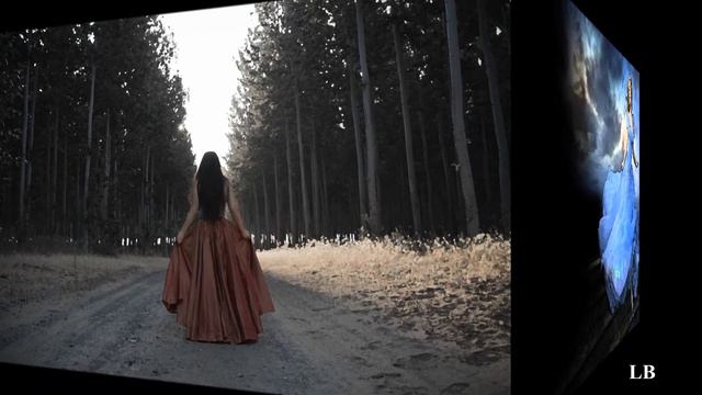 Sevemez Kimse Seni - Lejla Jusic