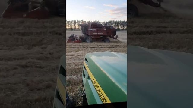 Что такое сельское хозяйство смотреть онлайн