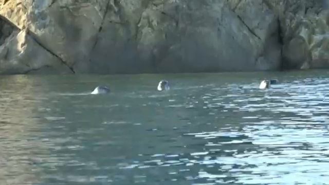 Шантарские острова - манящие острова