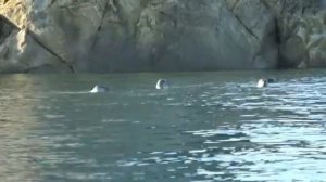 Шантарские острова - манящие острова