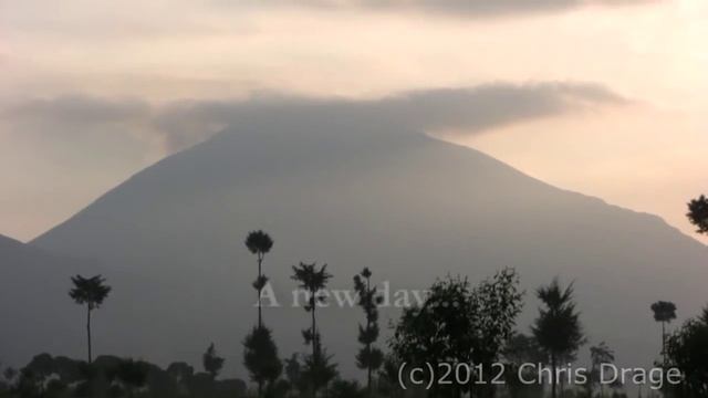 Rwanda 2011 Mountain Gorillas