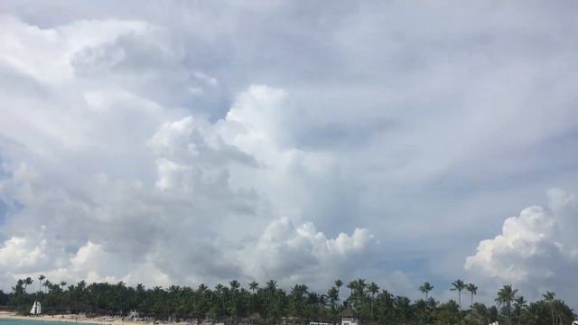 Водоросли в Доминикане в октябре 2019 [Ла-Романа. Байяибе] смотреть онлайн