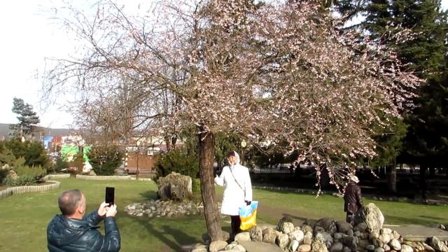 Конец января в Горячем Ключе смотреть онлайн