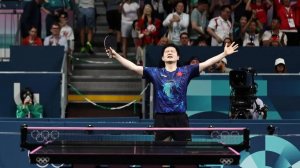 Fan Zhendong - Harimoto