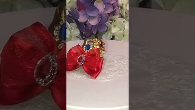 ?Выставочные бантики для собак смотреть онлайн