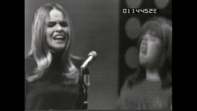 I Call Your Name, Somebody Groovy, Do You Believe in Magic- Barry McGuire and The Mamas & The Papas смотреть онлайн