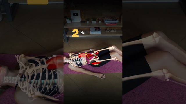 Простое упражнение от боли в пояснице (Тазовые часы)