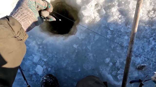 Щука рвёт и мечет! Опять гора рыбы!!! НЕМО рулит!!! смотреть онлайн