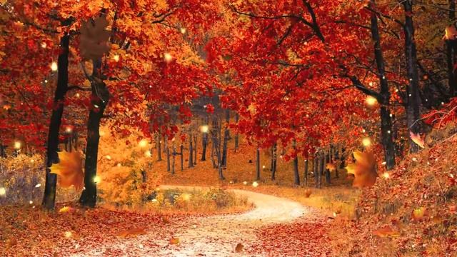 Атмосфера осеннего леса . Расслабляющая кельтская музыка #48