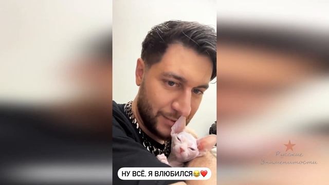 У Давы Манукян новый питомиц! смотреть онлайн