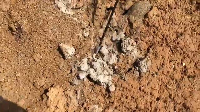 На южном склоне полигона обнаружили необычные образования в местах выхода газа смотреть онлайн