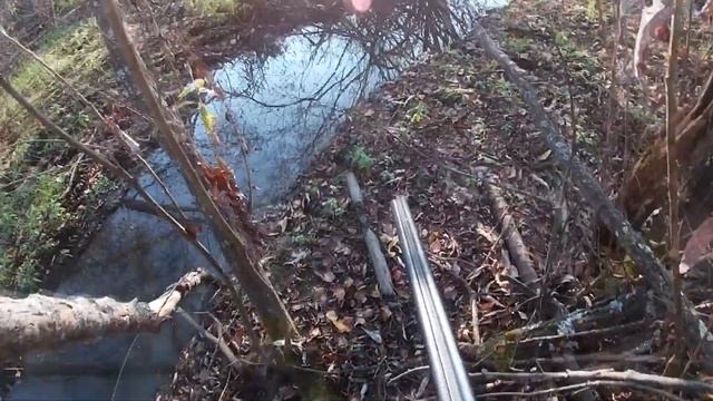 Охота на бобра.Бобр на 26кг. смотреть онлайн