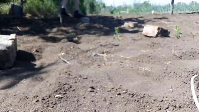 Пол это лава. смотреть онлайн