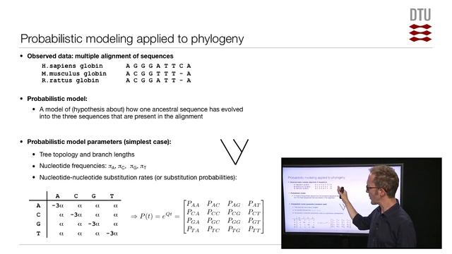Maximum likelihood смотреть онлайн