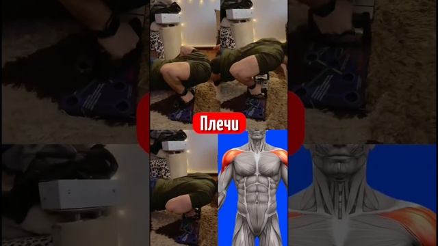 Все виды отжиманий..??️⚔️ смотреть онлайн