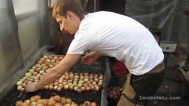 Самарский Халцедон - посадка лука на зелень смотреть онлайн
