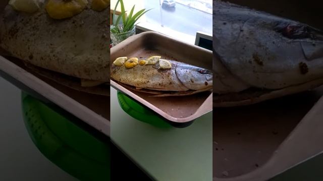 Экологическая Гармония